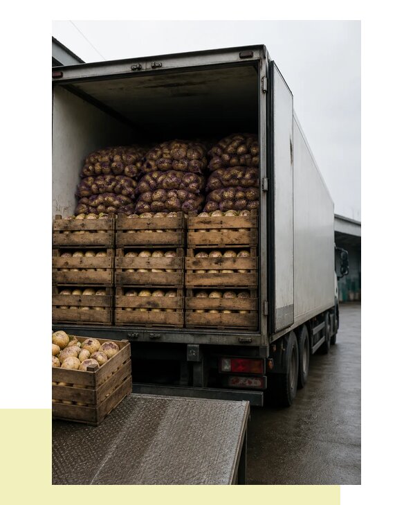 Перевозка репы в Зеленокумск с гарантией сохранности урожая
